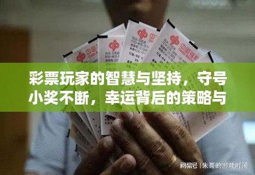 彩票玩家的智慧与坚持，守号小奖不断，幸运背后的策略与毅力