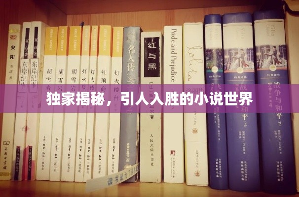 独家揭秘，引人入胜的小说世界