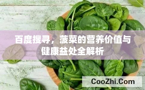 百度搜寻，菠菜的营养价值与健康益处全解析