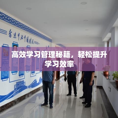 高效学习管理秘籍，轻松提升学习效率
