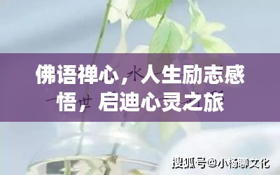 佛语禅心，人生励志感悟，启迪心灵之旅