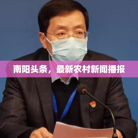南阳头条，最新农村新闻播报