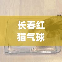 长春红猫气球事件最新进展视频曝光