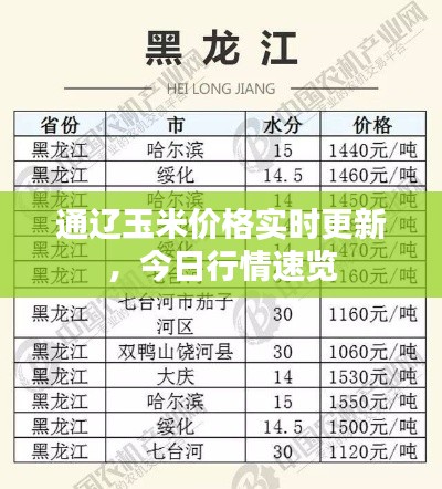 通辽玉米价格实时更新，今日行情速览