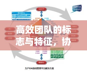 高效团队的标志与特征，协同合作，共创佳绩！