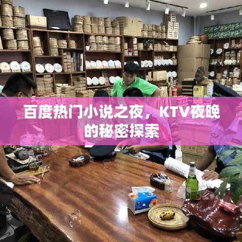 百度热门小说之夜，KTV夜晚的秘密探索