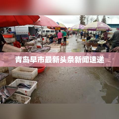 青岛早市最新头条新闻速递