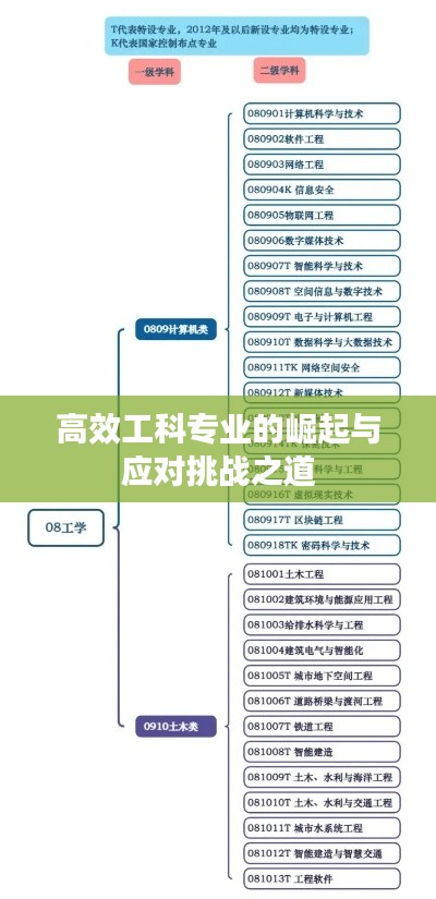 高效工科专业的崛起与应对挑战之道