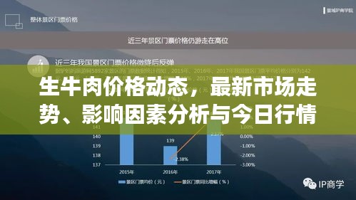 生牛肉价格动态，最新市场走势、影响因素分析与今日行情一览