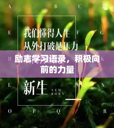 励志学习语录，积极向前的力量