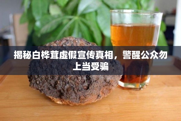 揭秘白桦茸虚假宣传真相，警醒公众勿上当受骗