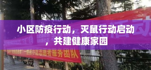 小区防疫行动，灭鼠行动启动，共建健康家园