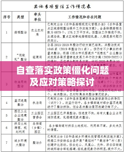 自查落实政策僵化问题及应对策略探讨