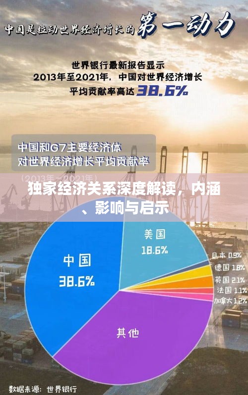 独家经济关系深度解读，内涵、影响与启示