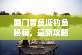 接连不断