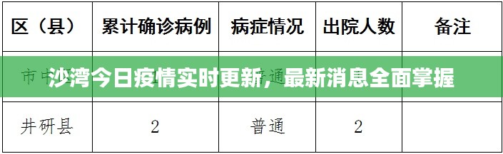 沙湾今日疫情实时更新，最新消息全面掌握