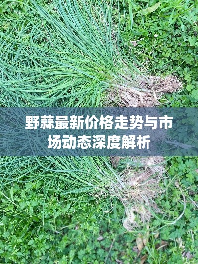 飞蝗芜湖