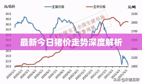 最新今日猪价走势深度解析