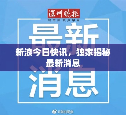 新浪今日快讯，独家揭秘最新消息