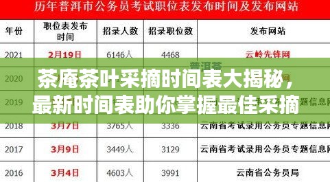 光明磊落