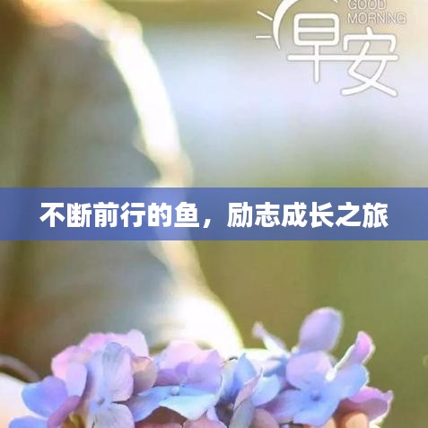 不断前行的鱼，励志成长之旅