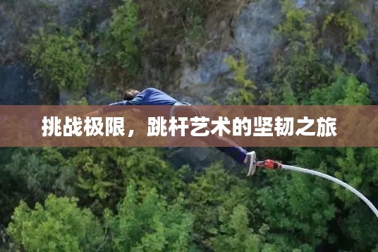 挑战极限，跳杆艺术的坚韧之旅