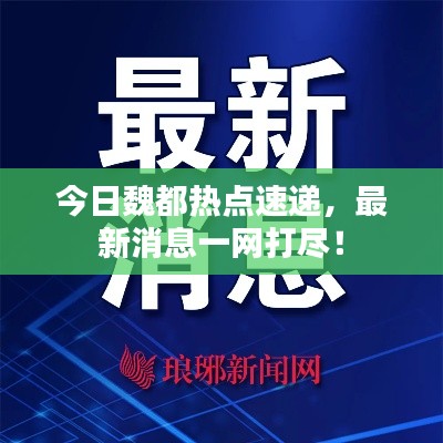 今日魏都热点速递，最新消息一网打尽！