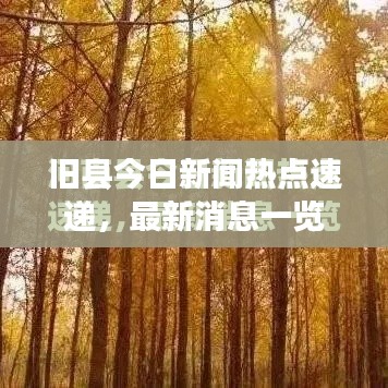 旧县今日新闻热点速递，最新消息一览
