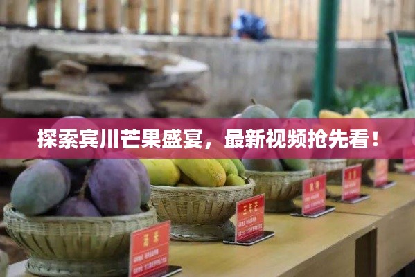 探索宾川芒果盛宴，最新视频抢先看！
