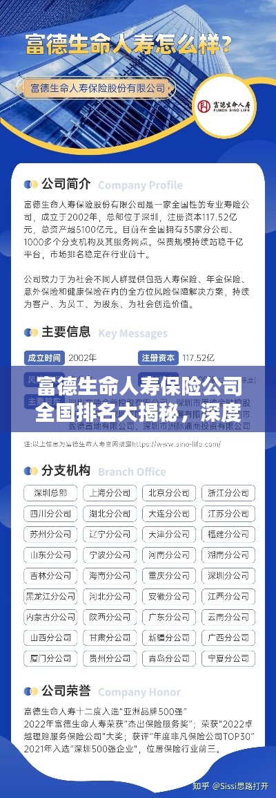 富德生命人寿保险公司全国排名大揭秘，深度解析！