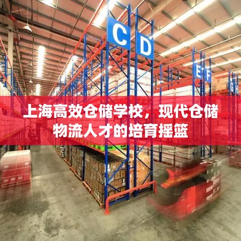 七嘴八张