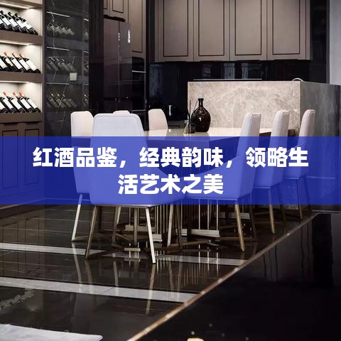 红酒品鉴，经典韵味，领略生活艺术之美