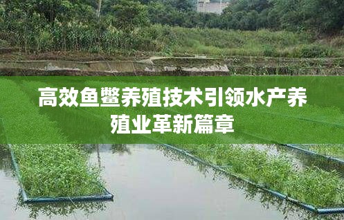 高效鱼鳖养殖技术引领水产养殖业革新篇章