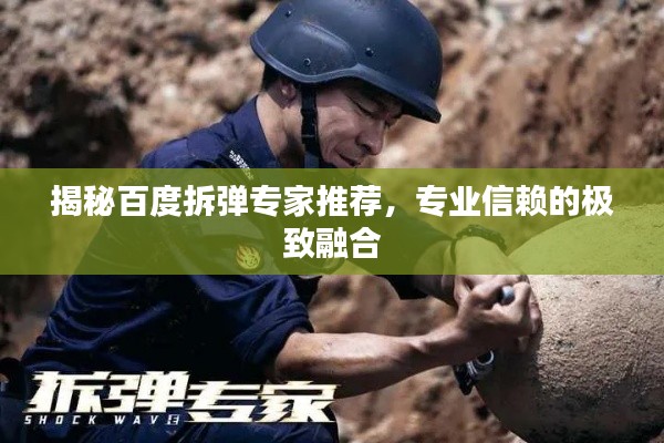 揭秘百度拆弹专家推荐，专业信赖的极致融合