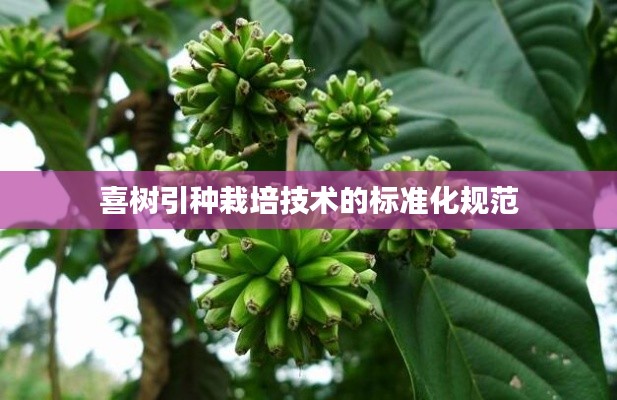 喜树引种栽培技术的标准化规范