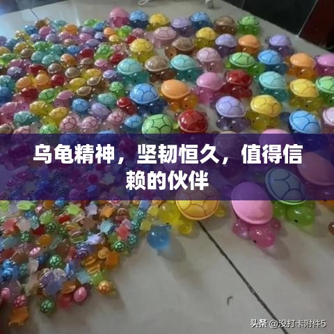乌龟精神，坚韧恒久，值得信赖的伙伴