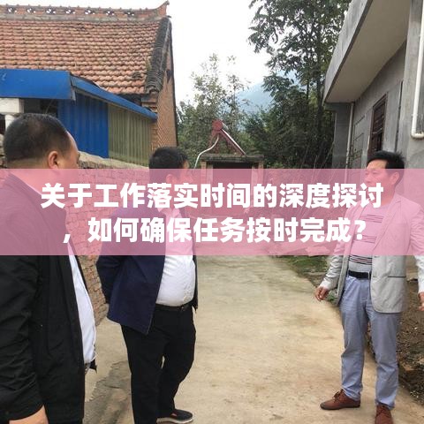 一毫不苟