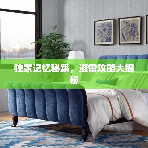 独家记忆秘籍，避雷攻略大揭秘