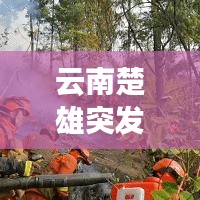 云南楚雄突发山火，火线救援与灾害反思