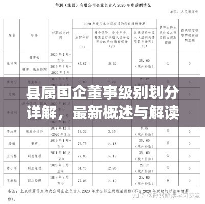 县属国企董事级别划分详解，最新概述与解读