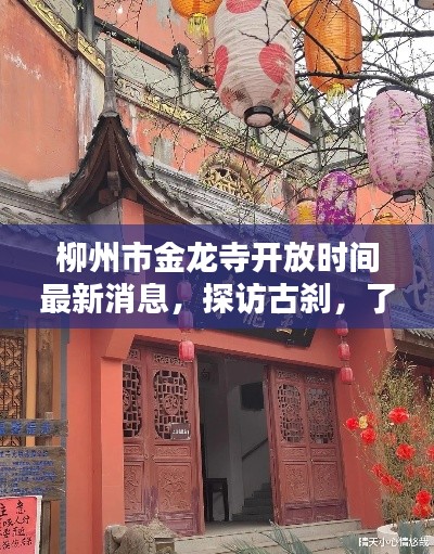 柳州市金龙寺开放时间最新消息，探访古刹，了解最新开放动态！