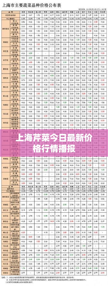铁石心肠