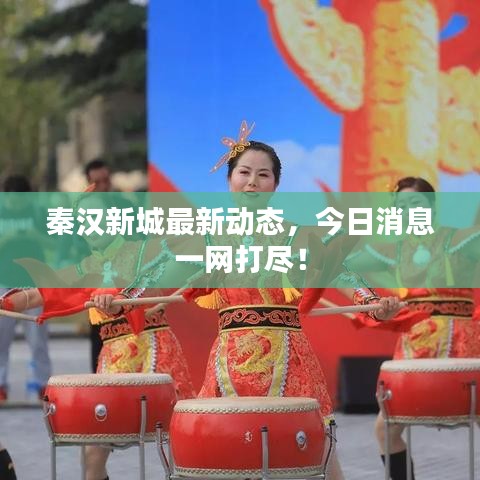 秦汉新城最新动态，今日消息一网打尽！