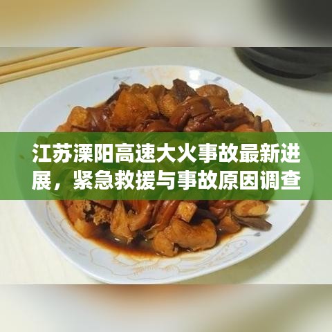 江苏溧阳高速大火事故最新进展，紧急救援与事故原因调查同步进行