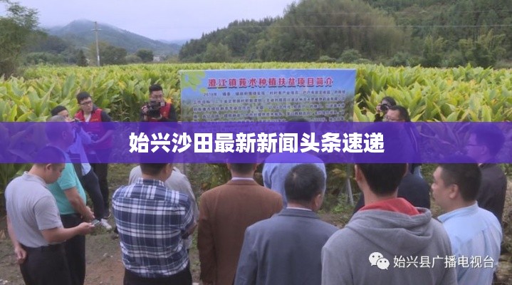 始兴沙田最新新闻头条速递