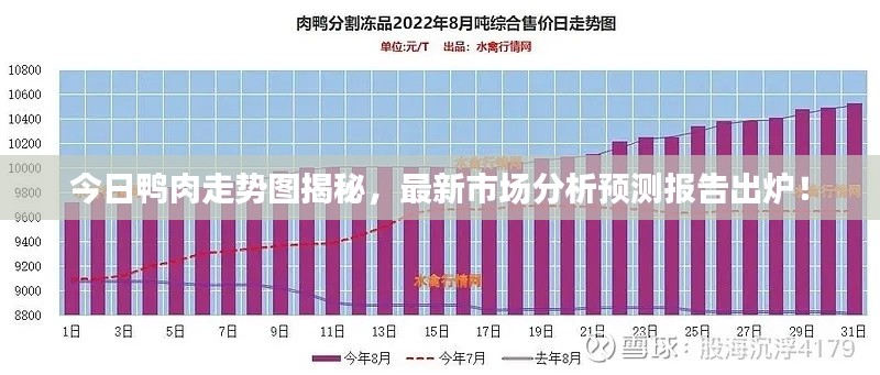 今日鸭肉走势图揭秘，最新市场分析预测报告出炉！