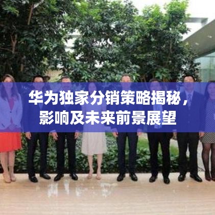 华为独家分销策略揭秘，影响及未来前景展望
