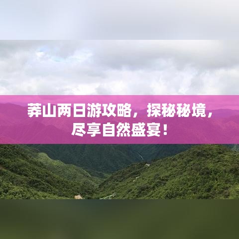 炊粱跨卫
