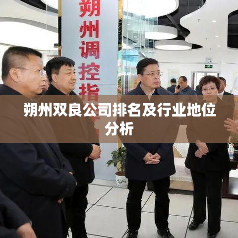 朔州双良公司排名及行业地位分析