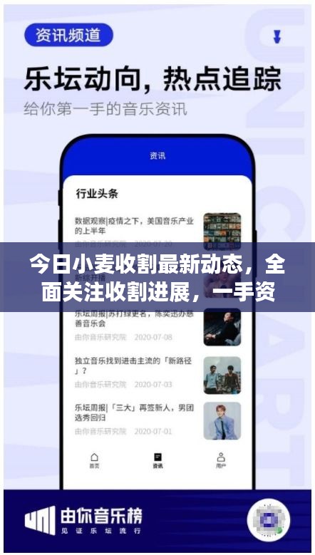 今日小麦收割最新动态，全面关注收割进展，一手资讯尽在掌握
